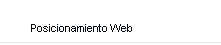POSICIONAMIENTO WEB